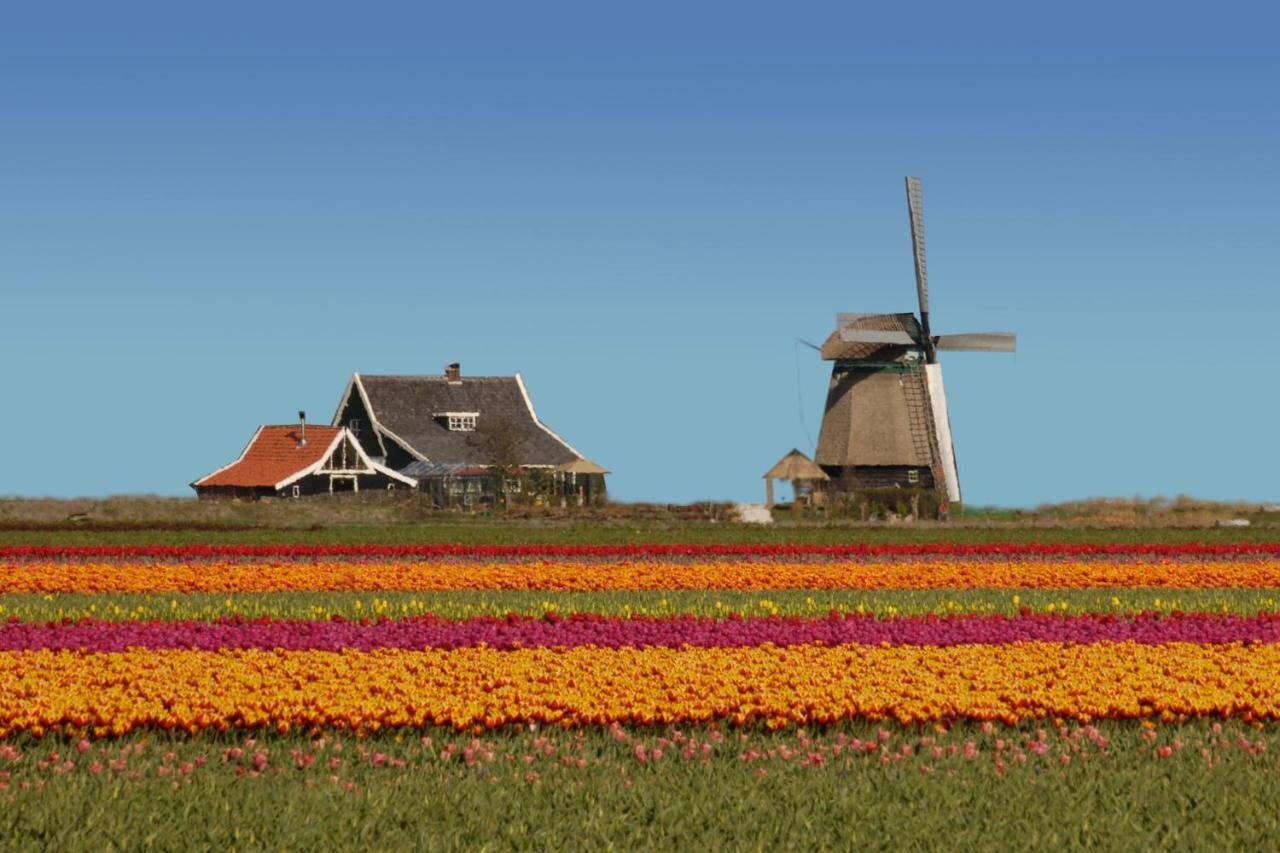 Het Dobbertje, Charmant Houten Huisje Sint Maartensvlotbrug Extérieur photo