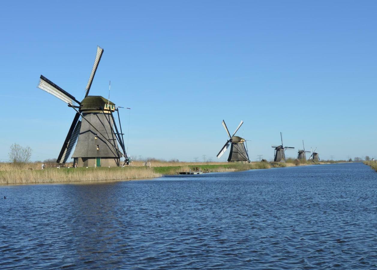 Het Dobbertje, Charmant Houten Huisje Sint Maartensvlotbrug Extérieur photo